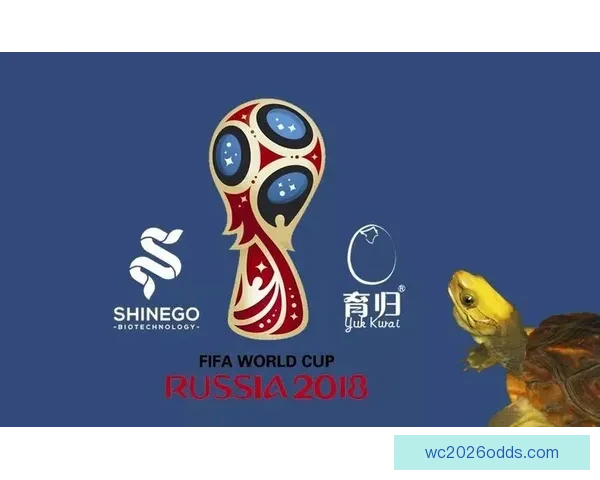 基于世界杯竞猜数据分析的赛事预测模型与策略研究
